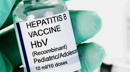 Vaksin Hepatitis B